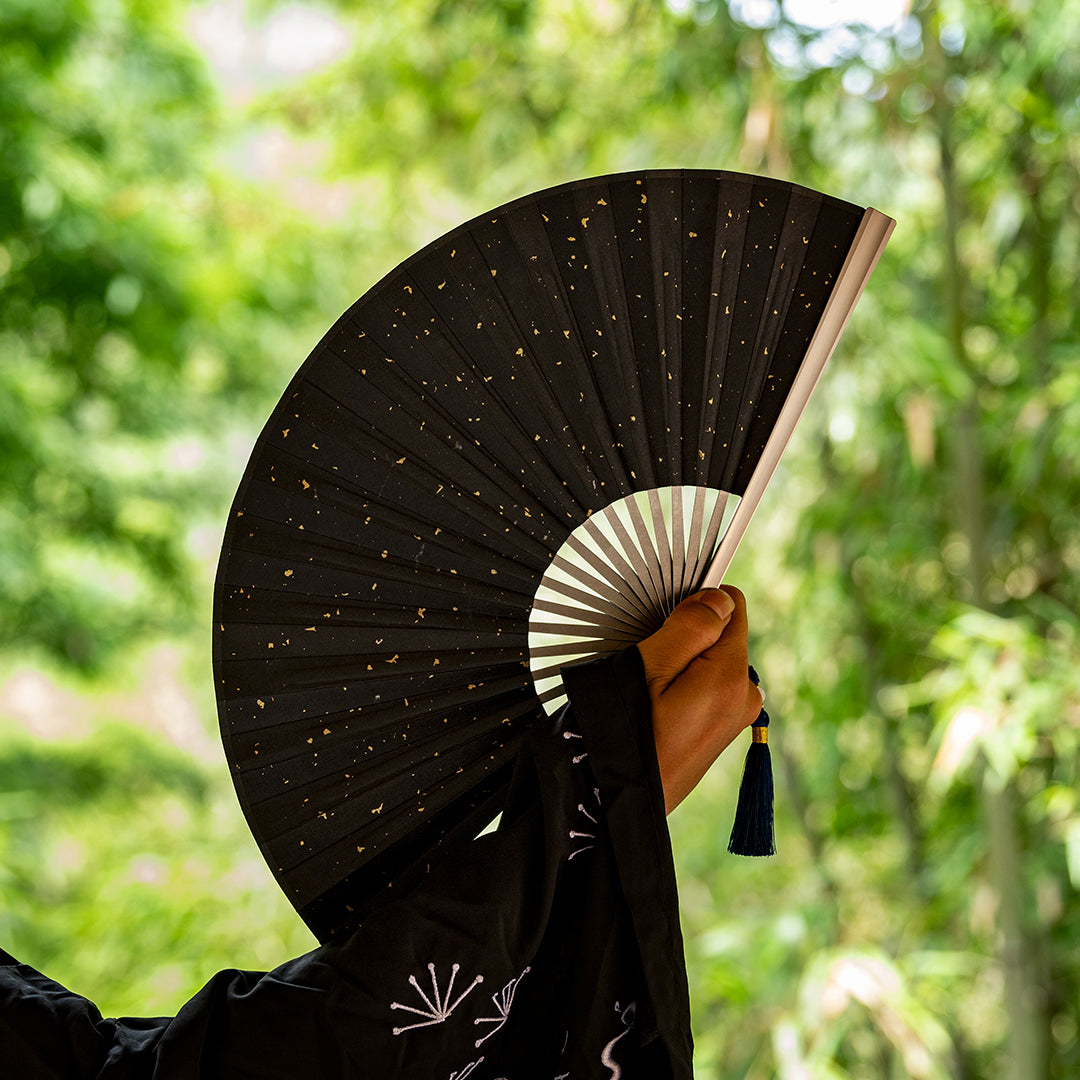 【Pre-Order】Titaner Ti Fan 5.0: Kungfu Craft, Centuries Fortitude