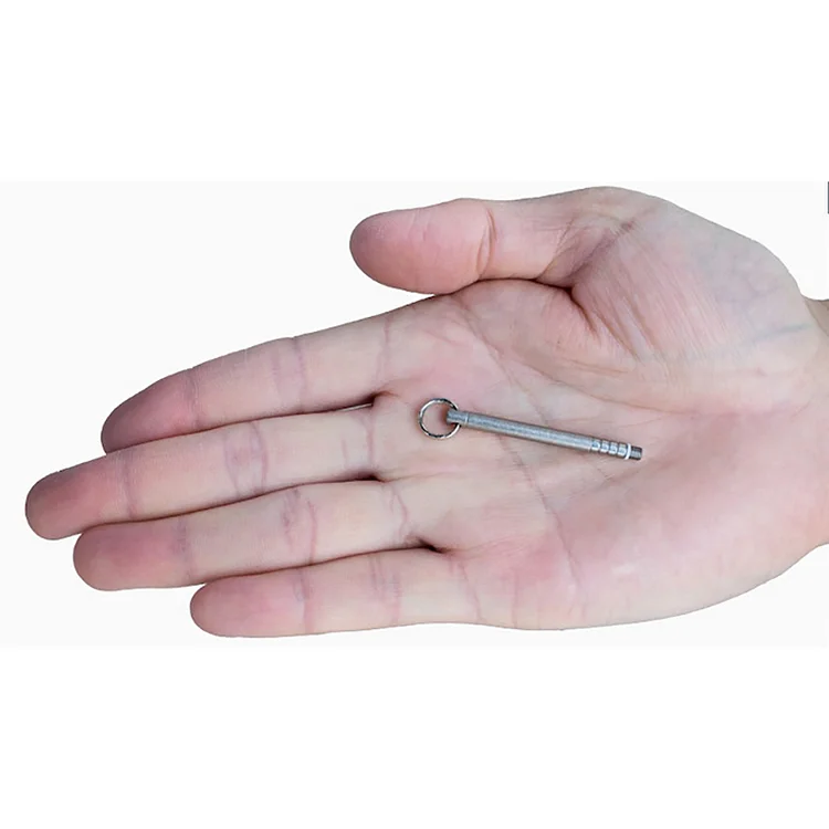 Titanium Mini Toothpick for Keychain
