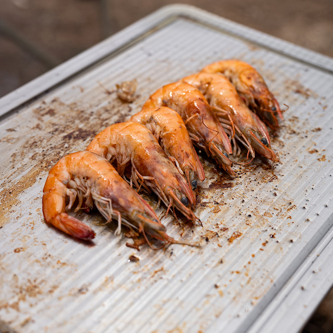 TiFeast: Titanium Versatile Oven Picnic Tray
