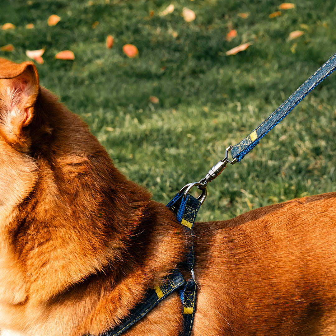 The Redefined Quick-Release EDC Carry System