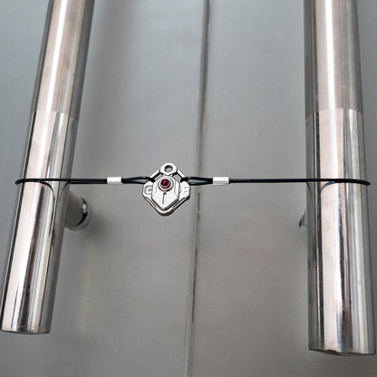 Anti-Theft Kit for Trident