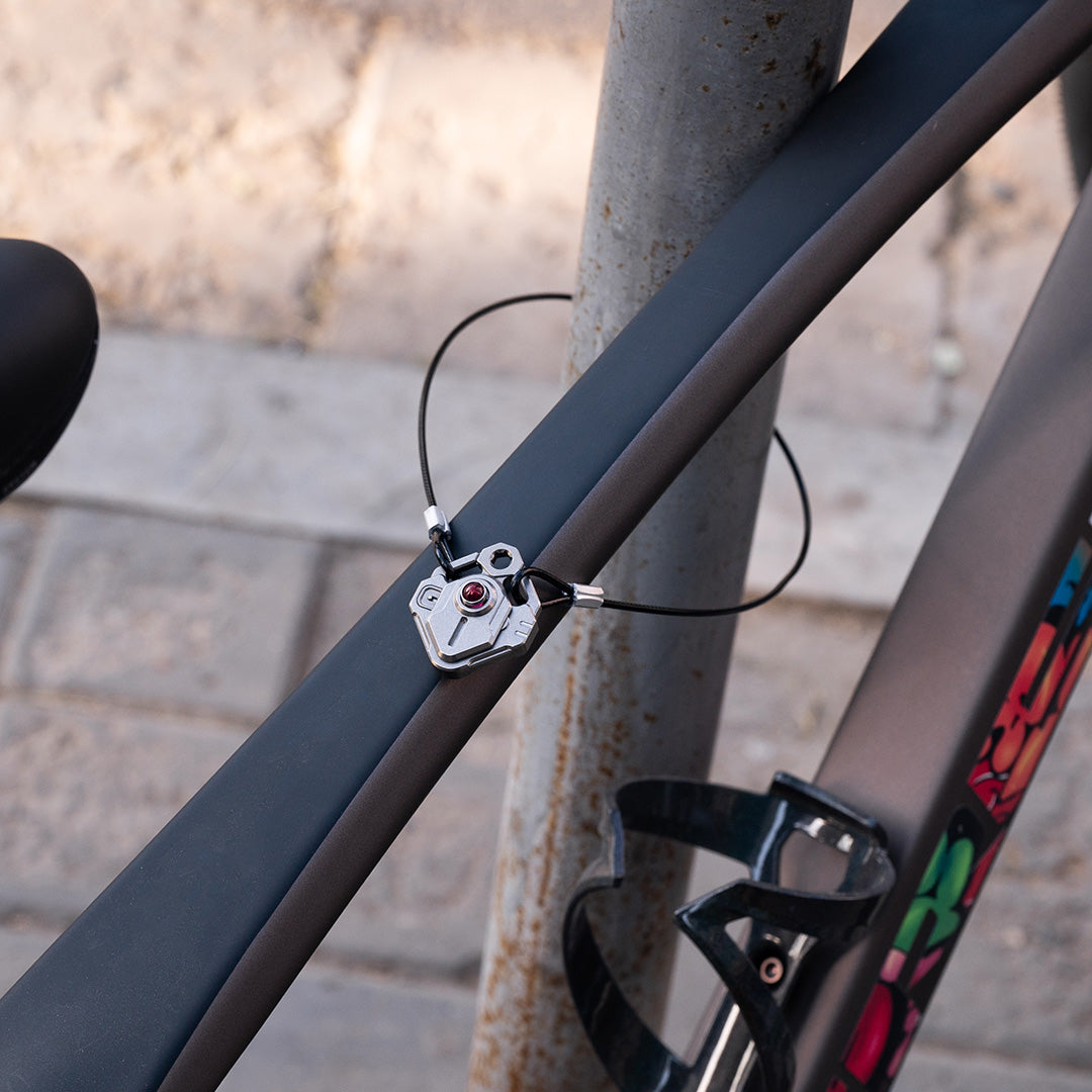 Anti-Theft Kit for Trident
